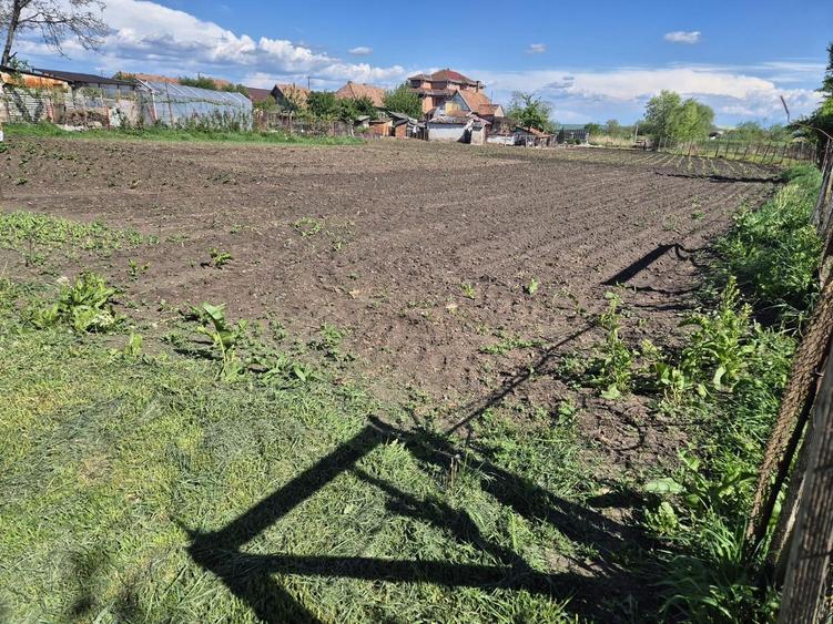 Teren intravilan Iernut / 2 parcele disponibile / front generos / acces drum - 1