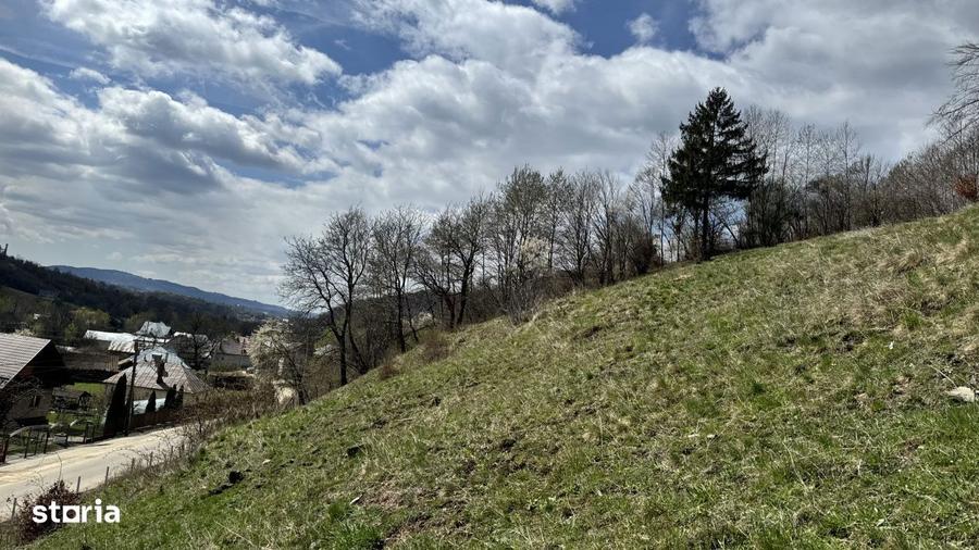 Teren panoramic de vanzare in Namaesti (Arges) 6.996 mp - 2