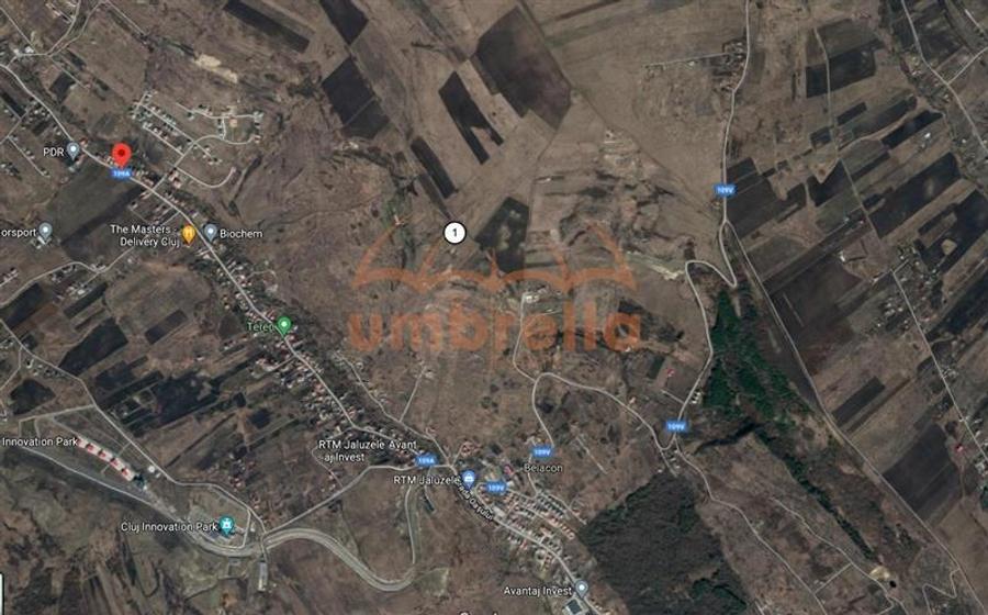 Teren de vanzare extravilan Valea Chintaului - 3