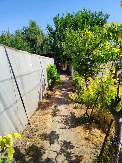 Casa + Curte + Teren arabil generos, Nerau, Teremia Mare, 1596 mp, locuibila imediat - 2