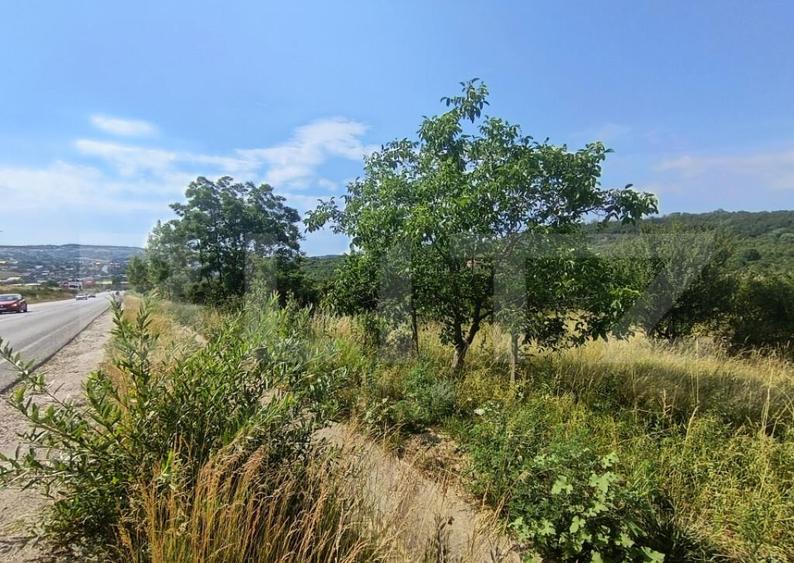 Teren intravilan, de vanzare, 1252 mp, zona Arghires - 1