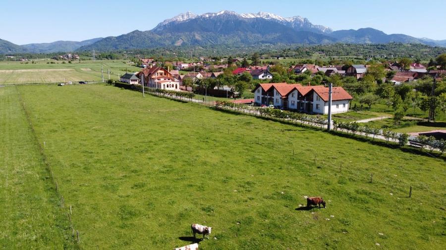 Teren plat P +4 Bran, panoramic munti, DN73, toate utilitatile - 4