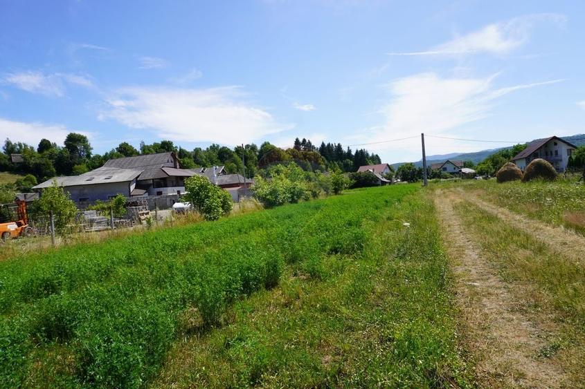 Teren 1,687mp Sighetu Marmatiei / Strada Doboies - 6