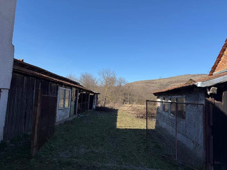 Vand casa la tara - 5