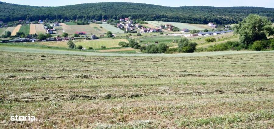 Vind terenuri extravilante in IVANESTI - 3
