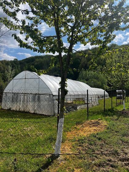 De vanzare teren Telega - 3