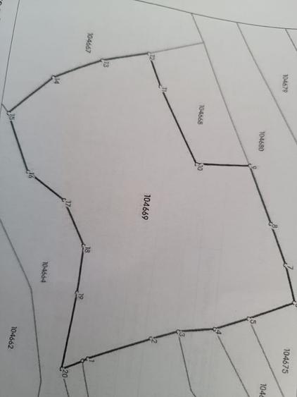 Comision 0%, teren extravilan 12497 mp Sinca Noua - 22