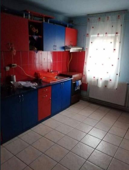 Apartament 2 camere Lugoj - malul Timisului - 4