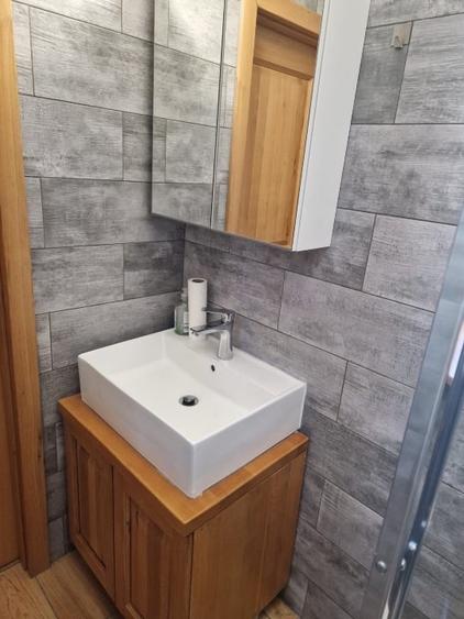 Apartament cu o camera de inchiriat - 5