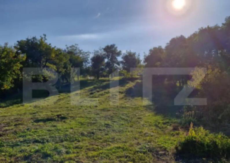 Casa de vanzare Budacu de Jos | 6 km de centrul Bistri - 12