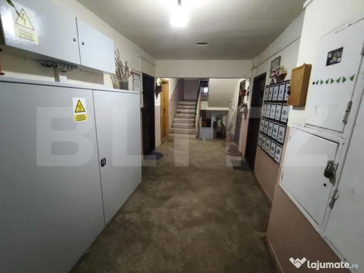 Apartament 3 camere la etajul 1 renovabil in Nufarul - 14