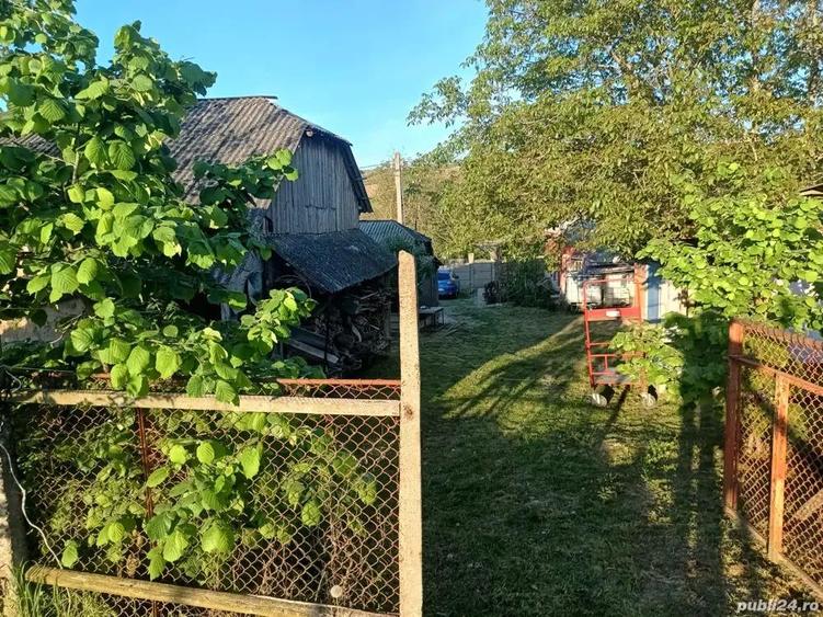 A 13. 20000 mp teren ?i 3 constructii casa in judetul Bacau - 12