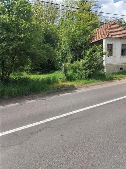 Domeniu verde autentic,  +5.000mp, front la DJ, Valcele, Brasov -- Covasna - 11