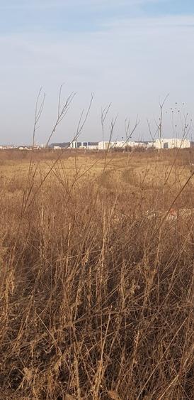 La intersectia Drumul Piscul Mare cu Drumul Vf.Berivoiul Mare - 2