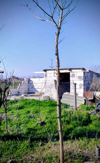 Casa demolabila cu teren 1609 mp + constructie nefinalizata + garaj - 2