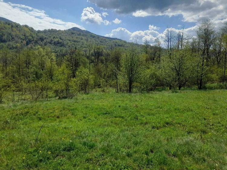 Vand teren intravilan 1632 mp in Poiana Sarata-Oituz - 5