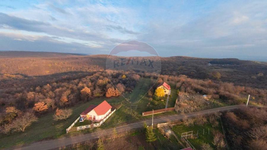 Teren intravilan de vanzare 915 mp - Saldabagiu de Munte - 5