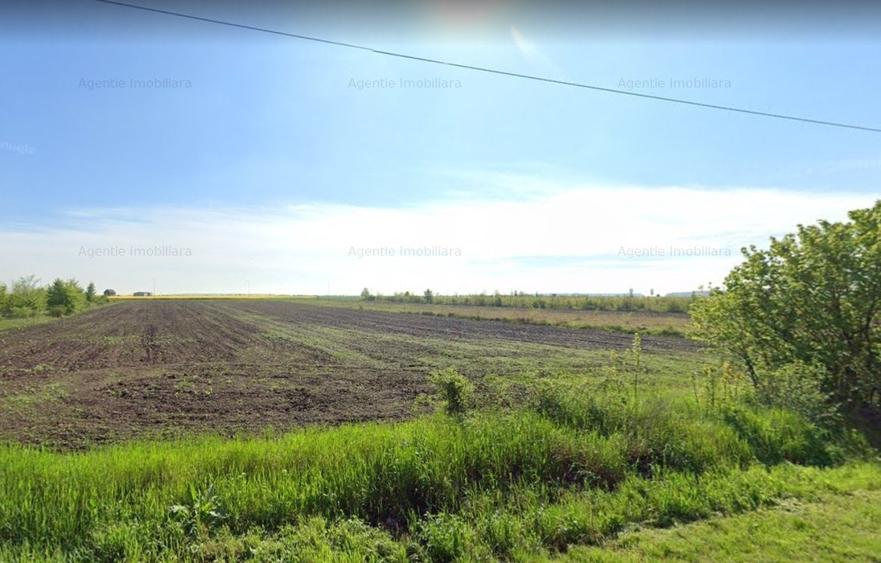 Teren Branesti 1016 mp - intre padure si A2 - Comision 0%