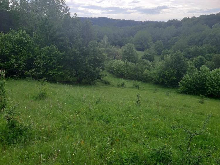 Teren de 2200 mp, în Dăești