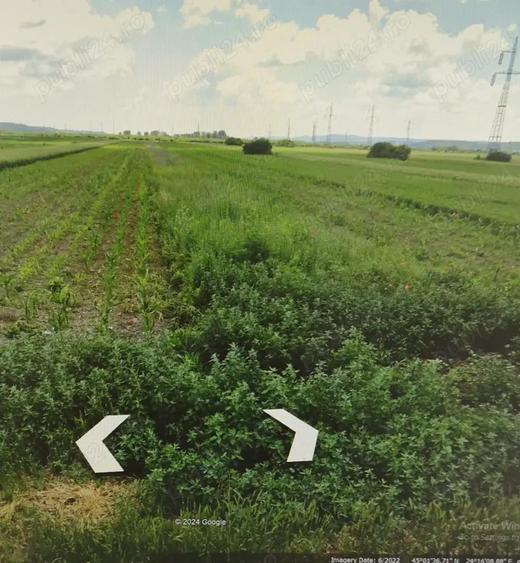 Vand teren extravilan in com. Mihaesti, Valcea 2534 mp - 2