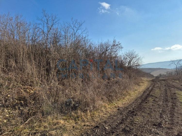 Teren intravilan, 1 000 mp, zona Tausor - 7