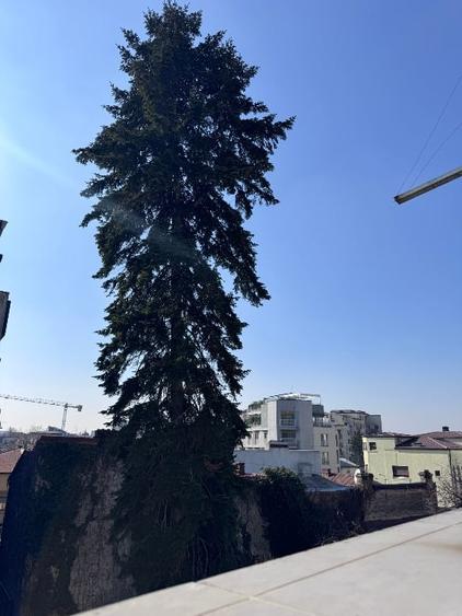 Apartament de 100 m2 construiti cu 86m2 de teren aferenti - 5