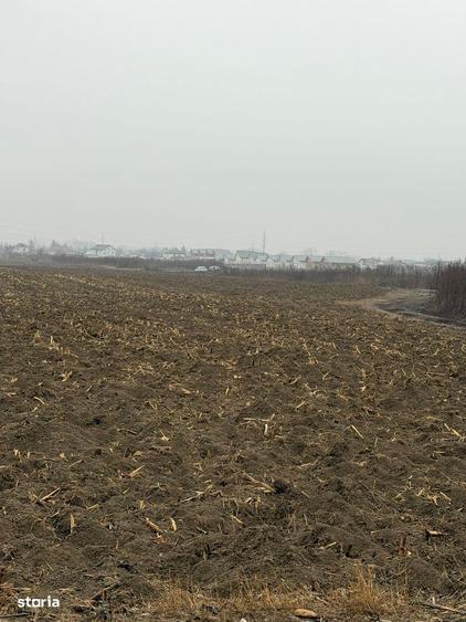 Vand Teren Hemeiusi sat Liliecipe strada prelungirea crinului - 5