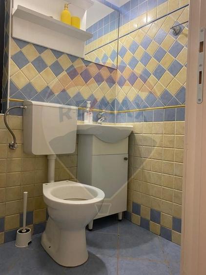 Vila de închiriat–Calea Moșilor /133 mp utili+60 Curte proprie - 16