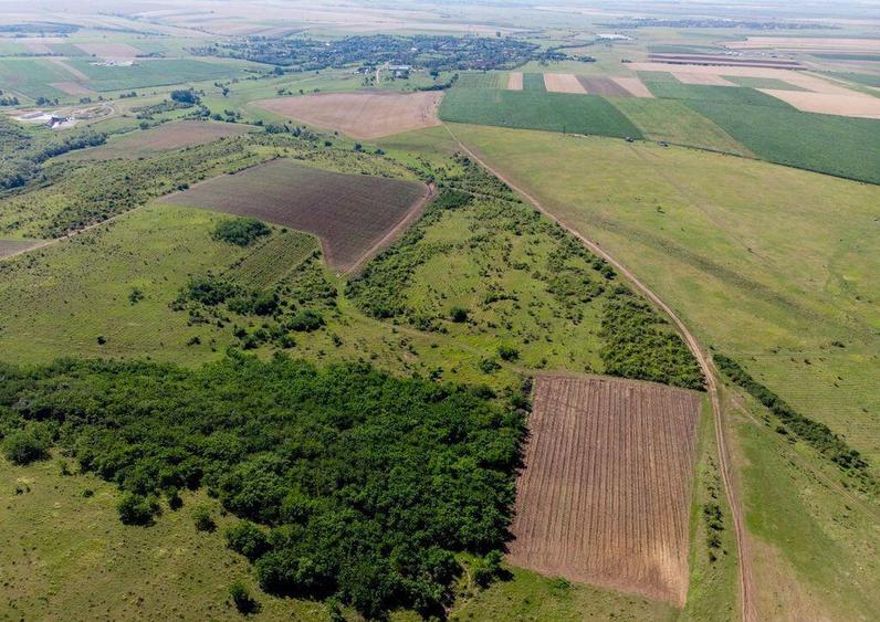 Teren arabil de 316 hectare in Olt - 1