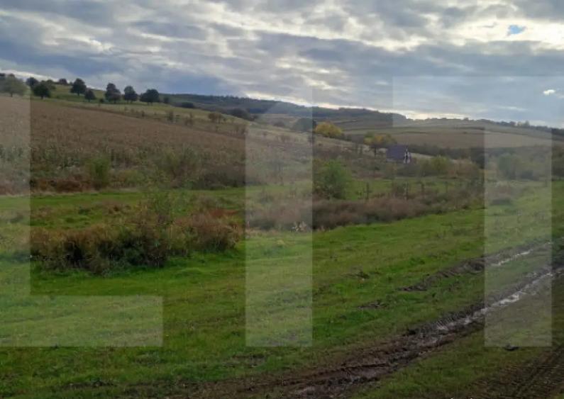 Teren de investitie 1760 mp - 3