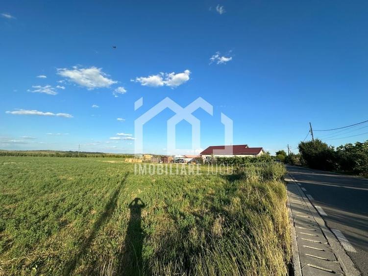 Teren INT construcție duplex / case cuplate 1503 mp - Jucu de Sus - 3