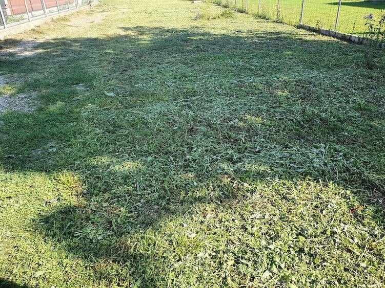 Teren de 1000 mp, în Poienarii Burchii