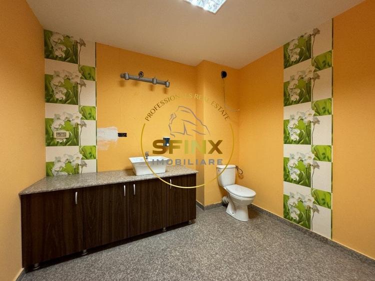 Hala si birouri zona Mogosoaia sos Odai - 8