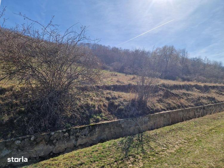 Teren extravilan, zona si priveliste superba, Cuvin - 3