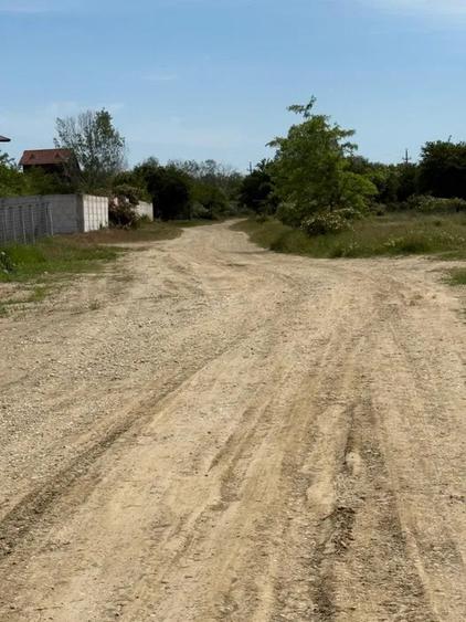 Teren Intravilan | Cornetu  | 6200mp - 3