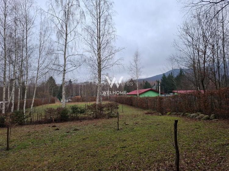 Teren deosebit pozitionat, cu livada, langa padure,  pe Valea Avrigului