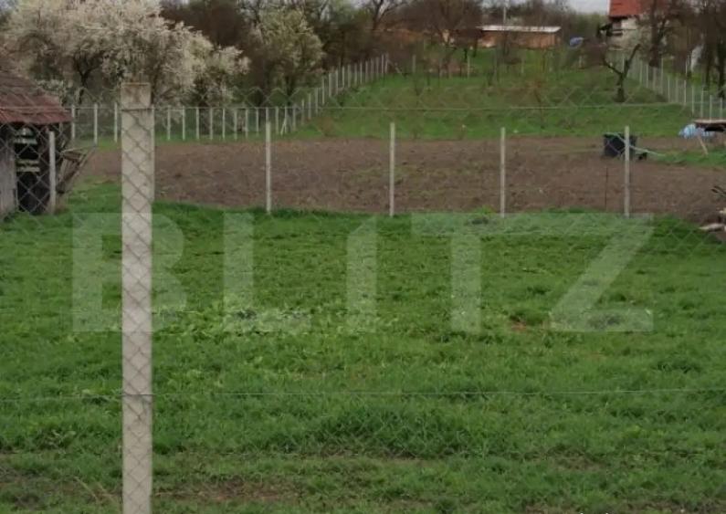 Teren intravilan de vanzare in Calarasi langa Turda! - 4