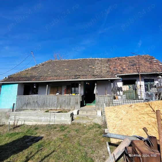 Casa cu suflet ?i gradina roditoare - 4