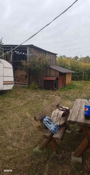 Teren intravilan de vanzare - 6200mp, padure in apropiere - 13