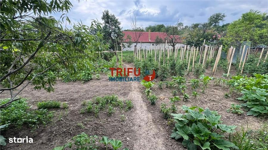 Casa de vanzare in comuna Ighiu - 1