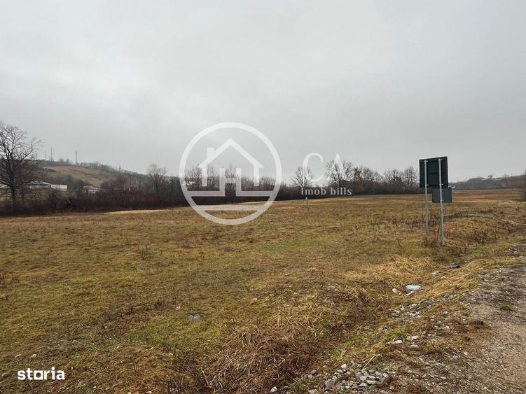 Teren intravilan de vanzare in Beius, Bihor - 5