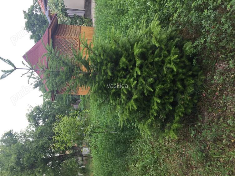 Casa de vanzare Parscov, Buzau