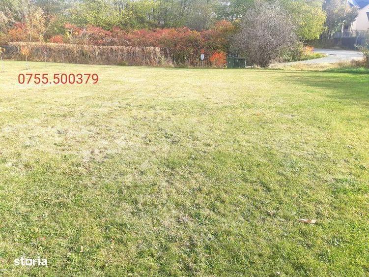 Vand teren Salicea, str. Principala, front 31ml, langa utilitati - 1