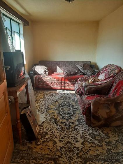 Pantelimon-teren 242mp+casa veche - 5