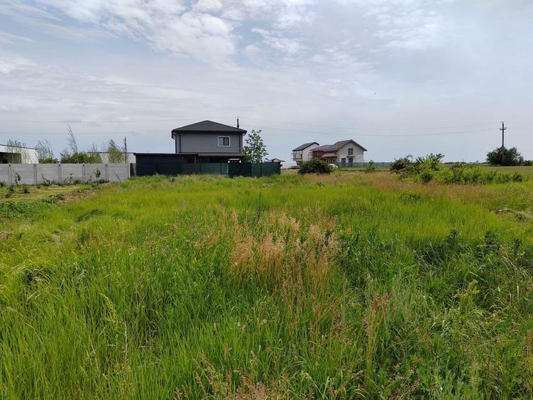 Teren Intravilan 538 mp -Balotesti - 3