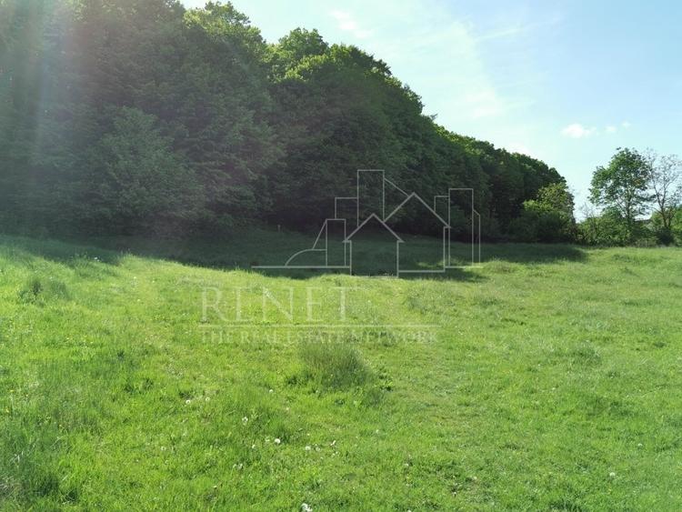 Oportunitate de Investiție - Teren de Basm in Bascov. DIRECT PROPRIETAR. - 6