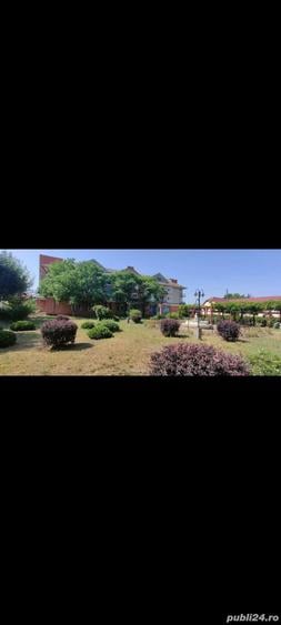 Teren intravilan cur?i construc?ii 2800 mp- Lovrin-Centru de vanzare - 3