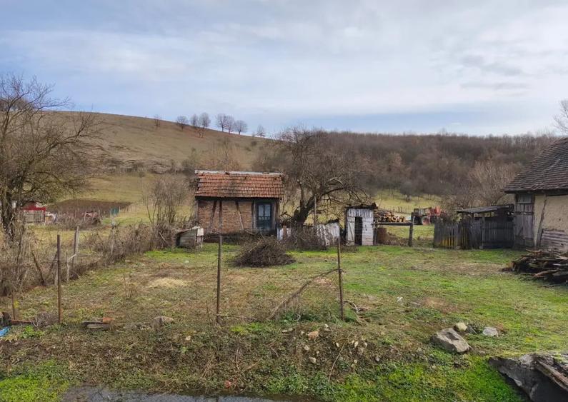 Teren in Juli?a, zona centrala, 6000mp - 2