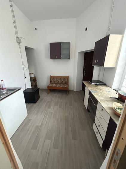 Apartament in vilă 3 camere, 120mp teren in folosinta (L18) - Nerva Traian - 10
