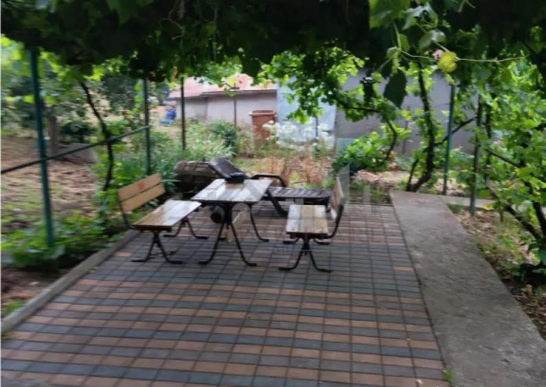 Copou Vila P M Su.165mp Teren 1000mp vecin cu limita Gradina - 4